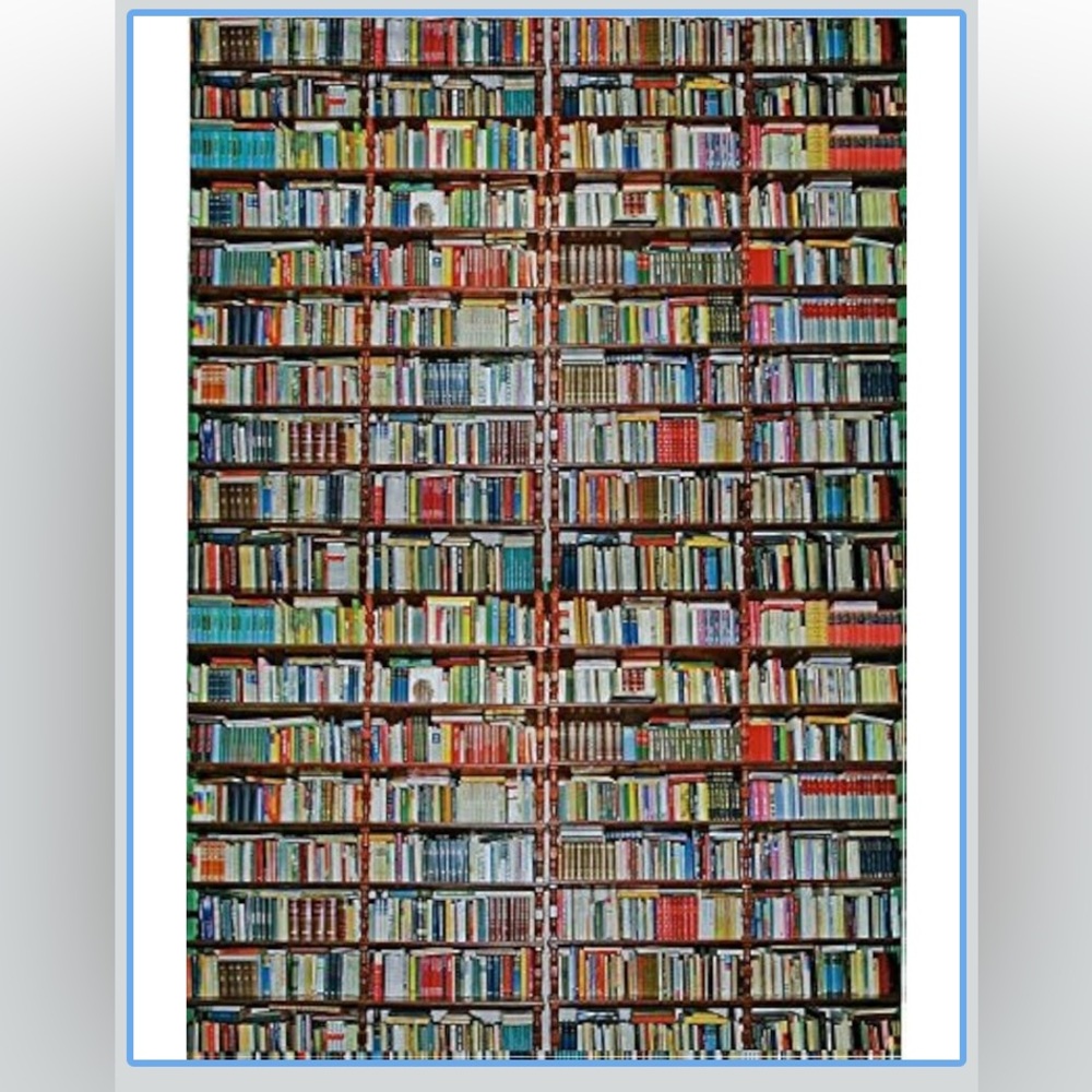 Set of 20 - 10x13” Books Library Poly Mailers Red Brown Waterproof Seller Tool - Picture 2 of 2